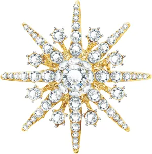 Austrian Crystals Snowflakes Vintage Star Brooch for Women & Men - Birthday &