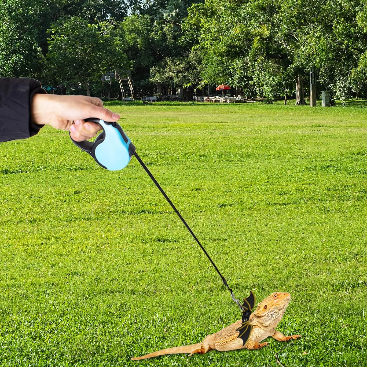 Retractable Bearded Dragon Leash with Dinosaur Wings, Comfortable Bearded Dragon Harness, Lizard Leash Bearded Dragon, 3 Sizes Adjustable Escape-Proof Design